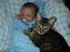 kittenlover kittenlover