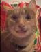 catpouncemeow catpouncemeow