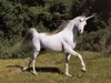 Iniel4
