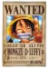 onepiece4ever onepiece4ever
