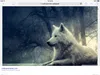 MysticArrow MysticArrow