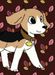 Puppy.Lover122 Puppy.Lover122