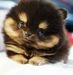 cuteface34 cuteface34