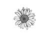 bloomingbelle