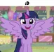 soniaandbunuelosdaughter soniaandbunuelosdaughter