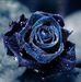 LetsRunAway.OurDreamsWillFollow LetsRunAway.OurDreamsWillFollow
