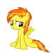 amber2