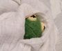 ribbit ribbit