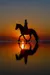 EnglishRiding101 EnglishRiding101