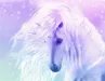unicorncupcake unicorncupcake
