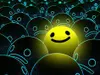 bluesydata80 bluesydata80