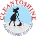 cleantoshine cleantoshine
