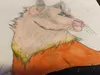 Flowertail Flowertail