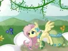 FluttershyTheFirst FluttershyTheFirst