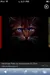 HawkFrost19