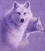 PastellaWolfy67