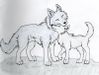 Wolflover444 Wolflover444