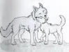 Wolflover444 Wolflover444