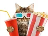 ArtisticMovie44