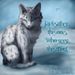 Jayfeather Jayfeather