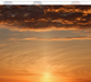 Midsun.Light Midsun.Light