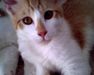 alize alize