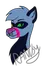 RankyRaccoon