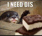 haveOtter haveOtter