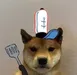 Stella_the_potato Stella_the_potato