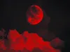 Death.Rose Death.Rose