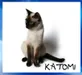 katomi katomi