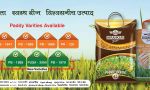 Nirankari Seeds-Best online seed stores in India Nirankari Seeds-Best online seed stores in India