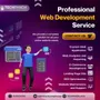 Website Development in Indore