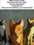 Warrior cats page :3