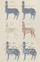 Mythical Creatures: Centaur Quiz Mythical Creatures: Centaur Quiz