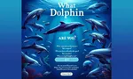 What Dolphin Are You?