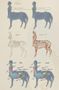 Discover Your Inner Centaur Discover Your Inner Centaur