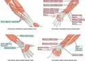 Peripheral Devices Quiz (1) Peripheral Devices Quiz (1)