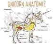 Discover Your Inner Unicorn Discover Your Inner Unicorn