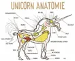 Discover Your Inner Unicorn