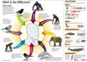 Animal Intelligence Personality Quiz Animal Intelligence Personality Quiz