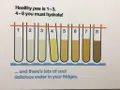 How Well Do You Hydrate? How Well Do You Hydrate?