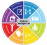 Discover Your Skills and Strengths Discover Your Skills and Strengths