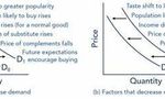 Trucking Industry Economic Impact Quiz Trucking Industry Economic Impact Quiz