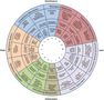 What's Your Love Language Personality? What's Your Love Language Personality?