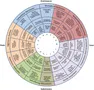 What's Your Love Language Personality?