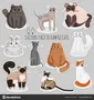 Funny Animal Videos Personality Quiz Funny Animal Videos Personality Quiz