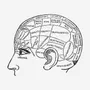 Test Your Knowledge on Common Illnesses Test Your Knowledge on Common Illnesses