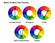 Which Cool Color Are You? Which Cool Color Are You?