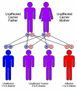 Test Your Knowledge on Heredity! Test Your Knowledge on Heredity!